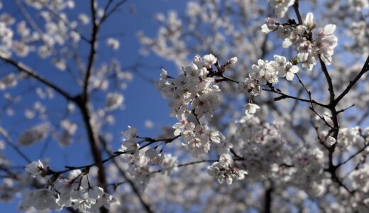 【さが恵比須メンタルくりにっく】文書料改定のお知らせ